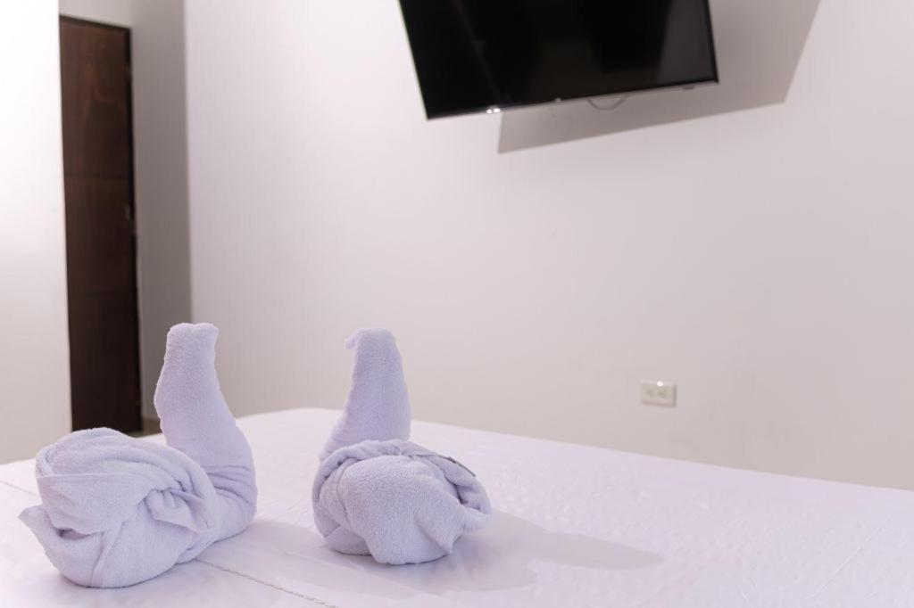 Resort Marianza Necoclí エクステリア 写真