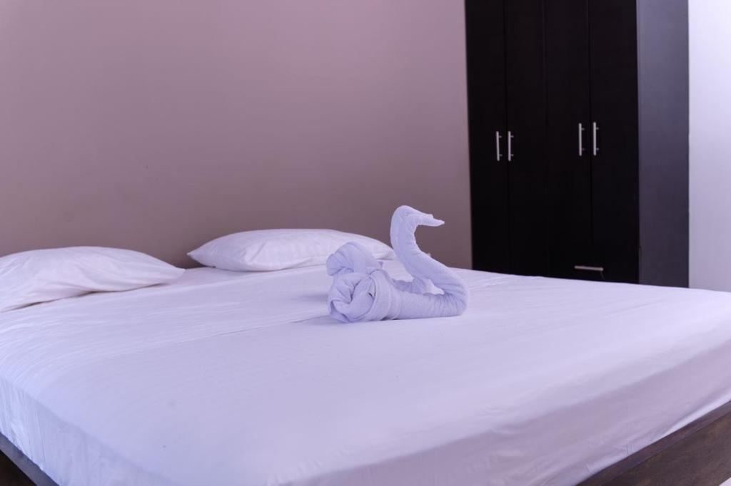 Resort Marianza Necoclí エクステリア 写真